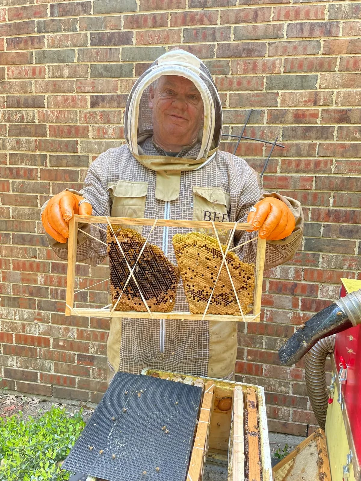 Beekeeper holding frame with honeycomb and bees