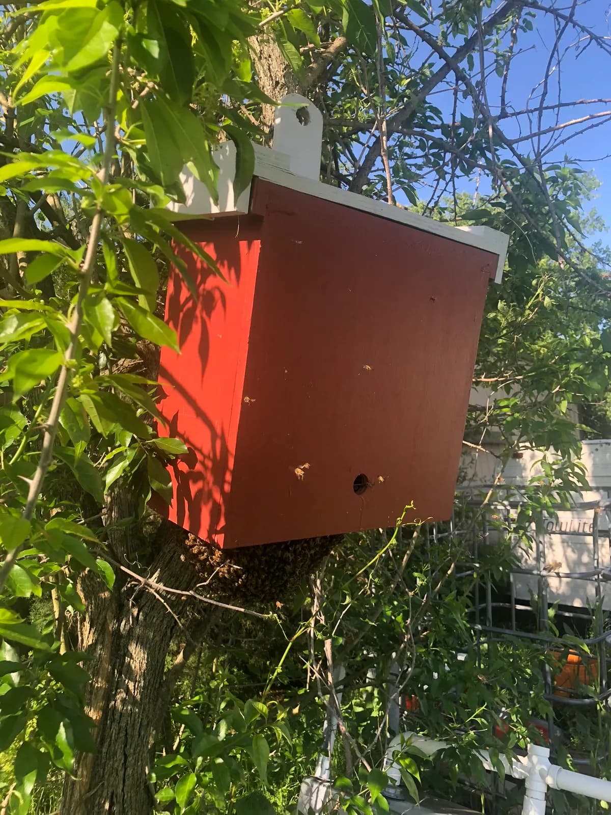 Red bee hotel in a tree with bees